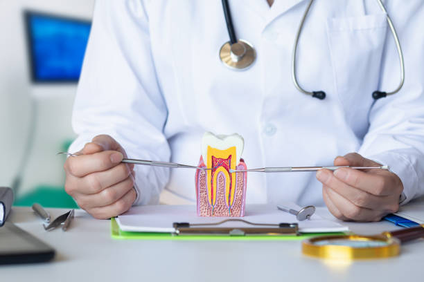 Best Emergency Wisdom Teeth Removal in Campbellsburg, KY
